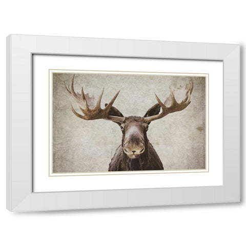 Elmer  White Modern Wood Framed Art Print with Double Matting by Cook, Natasia