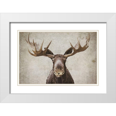 Elmer  White Modern Wood Framed Art Print with Double Matting by Cook, Natasia