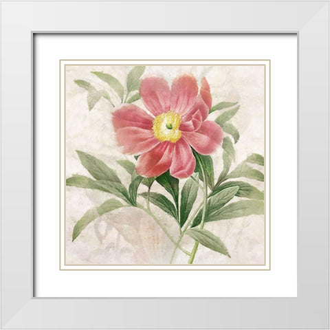 Ruby Floral II White Modern Wood Framed Art Print with Double Matting by Hunziker, Steve