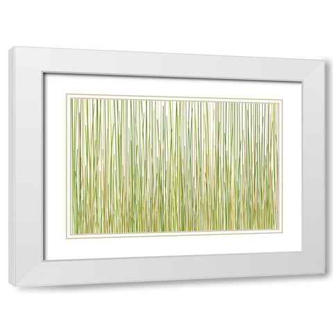 Grass Curtain White Modern Wood Framed Art Print with Double Matting by Terra Jungle