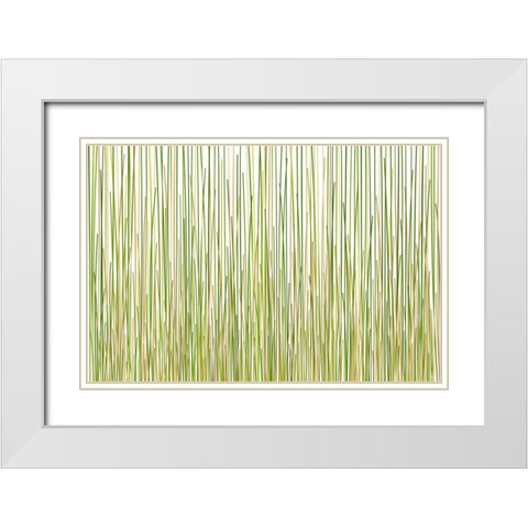 Grass Curtain White Modern Wood Framed Art Print with Double Matting by Terra Jungle