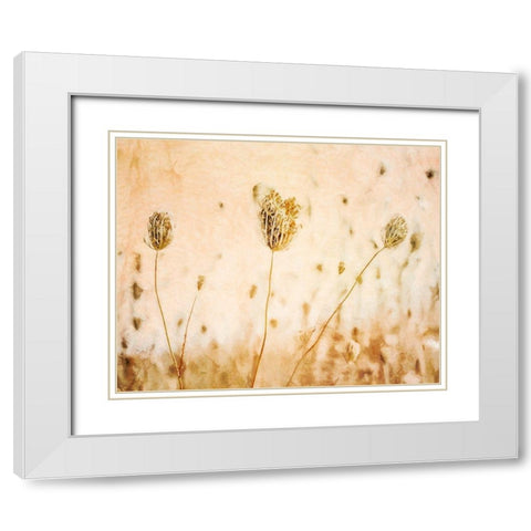 Lace in Autumn  White Modern Wood Framed Art Print with Double Matting by Halli, Hal