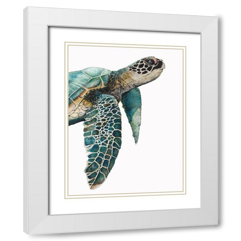 Great Sea TurtleÂ  White Modern Wood Framed Art Print with Double Matting by Hatfield, Jodi