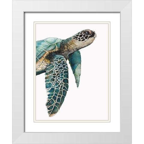 Great Sea TurtleÂ  White Modern Wood Framed Art Print with Double Matting by Hatfield, Jodi