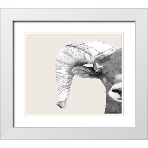 Rambo  White Modern Wood Framed Art Print with Double Matting by Hatfiled, Jodi