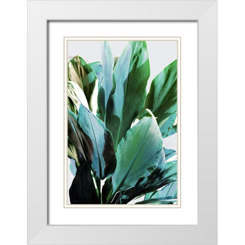 Green Leaves II  White Modern Wood Framed Art Print with Double Matting by Bainbridge, Hope