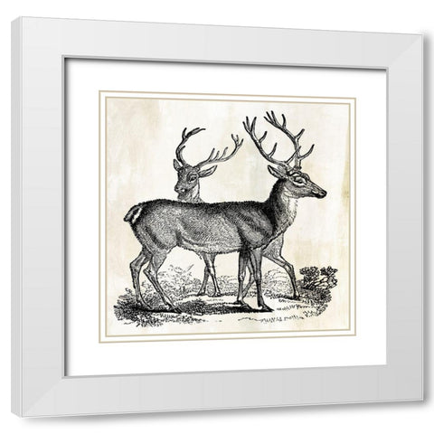 Two Reindeers  White Modern Wood Framed Art Print with Double Matting by PI Studio