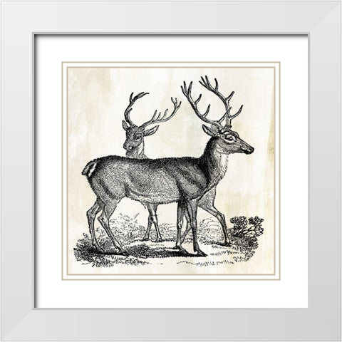 Two Reindeers  White Modern Wood Framed Art Print with Double Matting by PI Studio