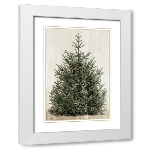 Forest Beauty  White Modern Wood Framed Art Print with Double Matting by PI Studio