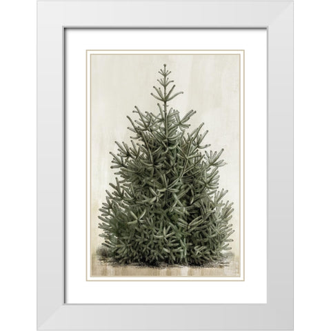 Forest Beauty  White Modern Wood Framed Art Print with Double Matting by PI Studio