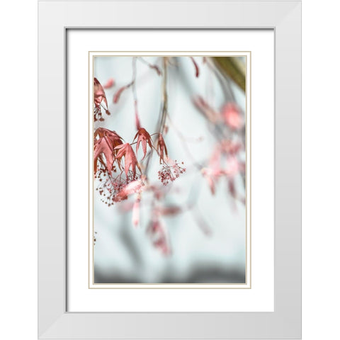 Leaves Palladium White Modern Wood Framed Art Print with Double Matting by Smith, M.