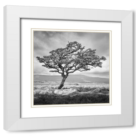 Reaching Upwards White Modern Wood Framed Art Print with Double Matting by Henson, Martin