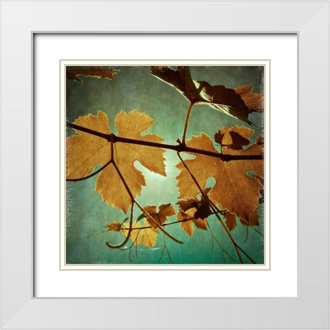 Divine III White Modern Wood Framed Art Print with Double Matting by Harston-Weddle, Ryan