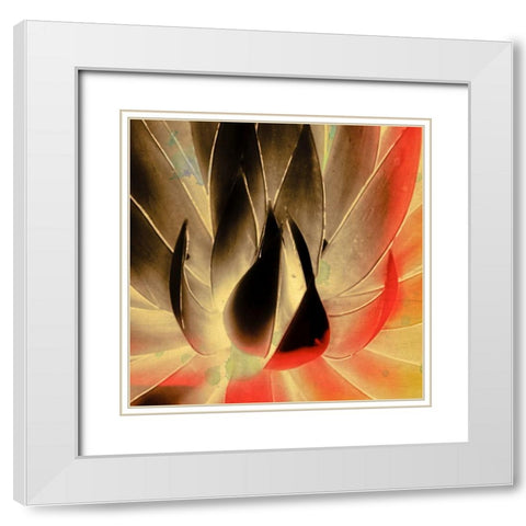 Aloe in the Sun III White Modern Wood Framed Art Print with Double Matting by Hartson-Weddle, Ryan