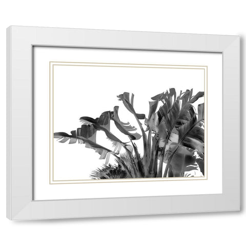 Tropical Velvet II - BW  White Modern Wood Framed Art Print with Double Matting by Hartson- Weddle, Ryan