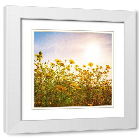 Sun Reacher  White Modern Wood Framed Art Print with Double Matting by Weddle, Ryan Hartson