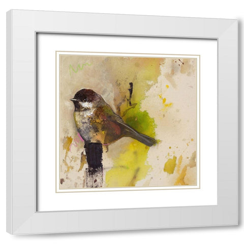 Yellow Goldfinch  White Modern Wood Framed Art Print with Double Matting by St Amant, Daniel