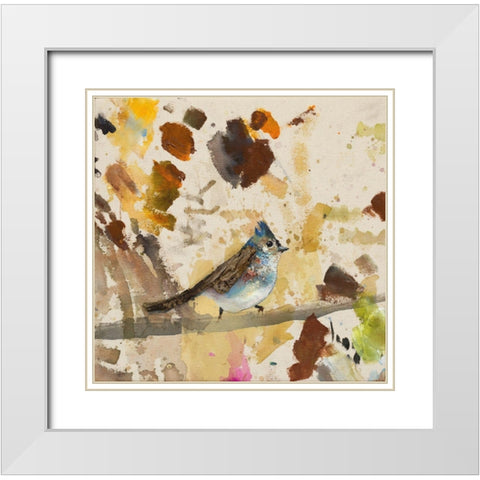 Blue Jay  White Modern Wood Framed Art Print with Double Matting by St Amant, Daniel