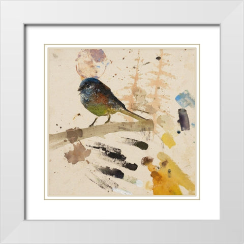 Song ThrushÂ  White Modern Wood Framed Art Print with Double Matting by St Amant, Daniel