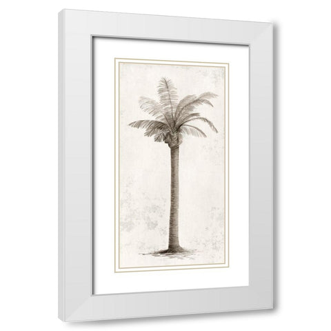 Vintage Palm Tree I  White Modern Wood Framed Art Print with Double Matting by Ian C