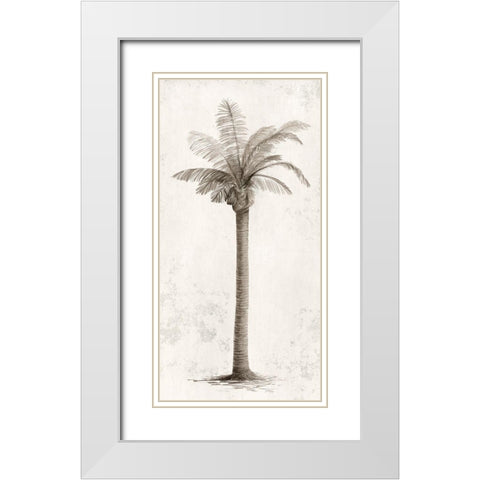 Vintage Palm Tree I  White Modern Wood Framed Art Print with Double Matting by Ian C