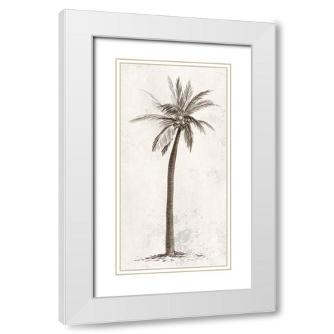 Vintage Palm Tree II White Modern Wood Framed Art Print with Double Matting by Ian C