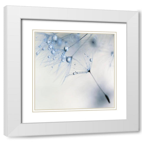 Baby Blue White Modern Wood Framed Art Print with Double Matting by Beddoes, Ingrid