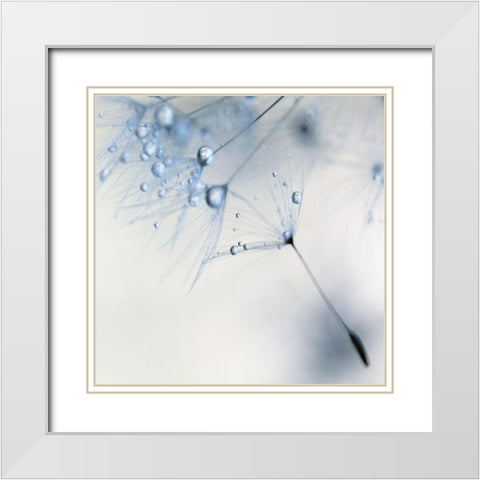 Baby Blue White Modern Wood Framed Art Print with Double Matting by Beddoes, Ingrid