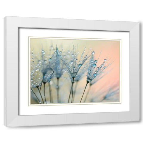 Summer Rain White Modern Wood Framed Art Print with Double Matting by Beddoes, Ingrid