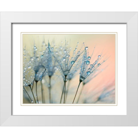 Summer Rain White Modern Wood Framed Art Print with Double Matting by Beddoes, Ingrid