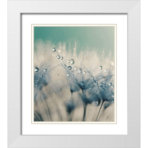 Bashful Blue White Modern Wood Framed Art Print with Double Matting by Beddoes, Ingrid