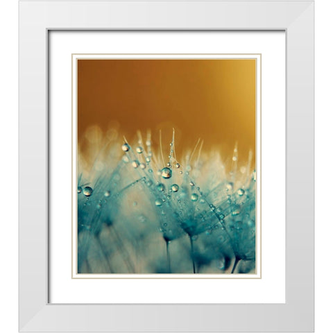 Satin White Modern Wood Framed Art Print with Double Matting by Beddoes, Ingrid