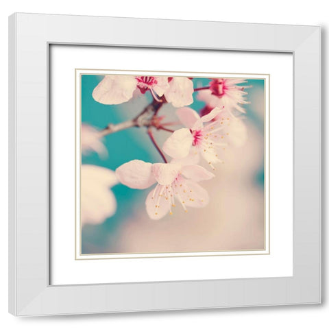 Spring blossoms White Modern Wood Framed Art Print with Double Matting by Beddoes, Ingrid