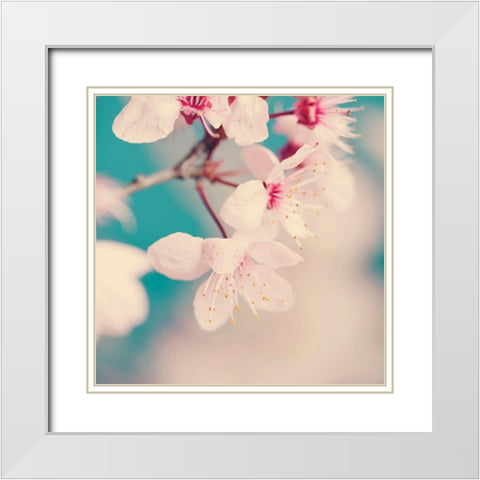 Spring blossoms White Modern Wood Framed Art Print with Double Matting by Beddoes, Ingrid