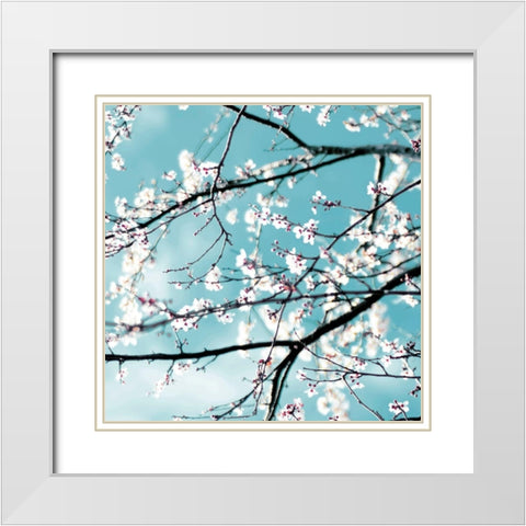 Spring blossoms blue White Modern Wood Framed Art Print with Double Matting by Beddoes, Ingrid