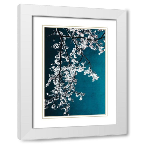 White Blossoms White Modern Wood Framed Art Print with Double Matting by Beddoes, Ingrid