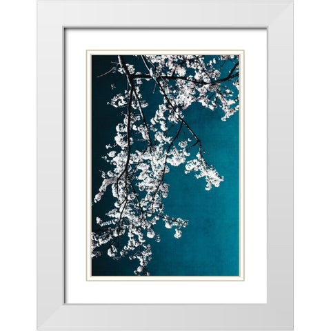 White Blossoms White Modern Wood Framed Art Print with Double Matting by Beddoes, Ingrid