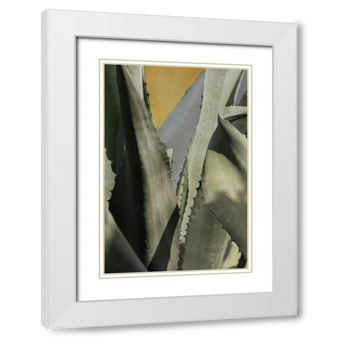 Agave Deserti I White Modern Wood Framed Art Print with Double Matting by Valner, Jessica
