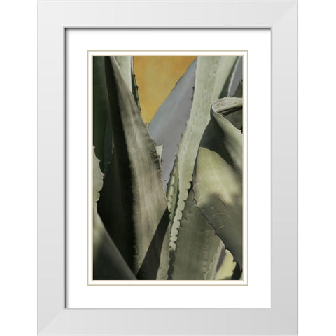 Agave Deserti I White Modern Wood Framed Art Print with Double Matting by Valner, Jessica