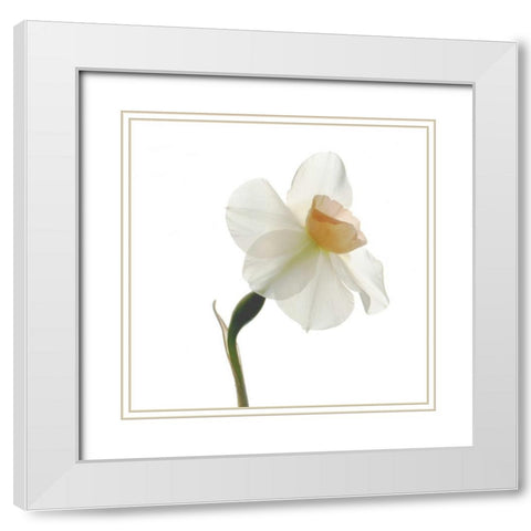 Rise White Modern Wood Framed Art Print with Double Matting by Stalus, Judy