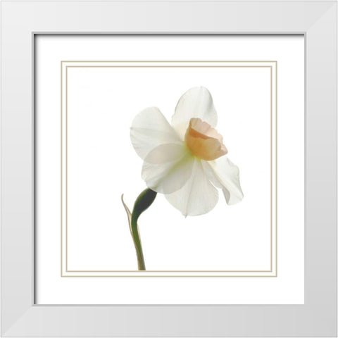 Rise White Modern Wood Framed Art Print with Double Matting by Stalus, Judy