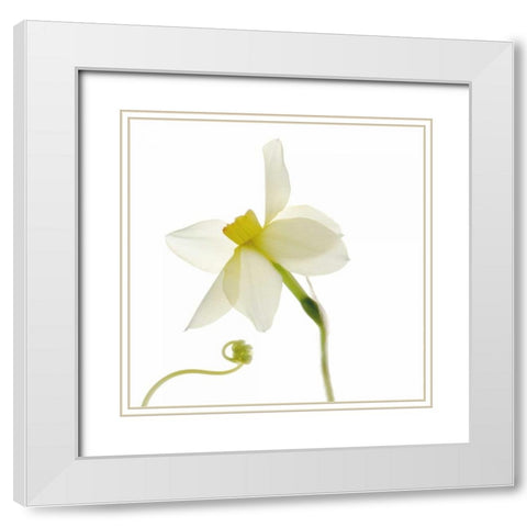 Bowing White Modern Wood Framed Art Print with Double Matting by Stalus, Judy