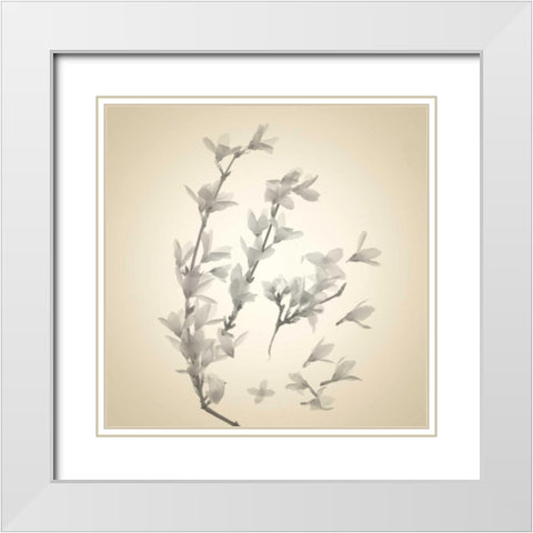 Sway White Modern Wood Framed Art Print with Double Matting by Stalus, Judy