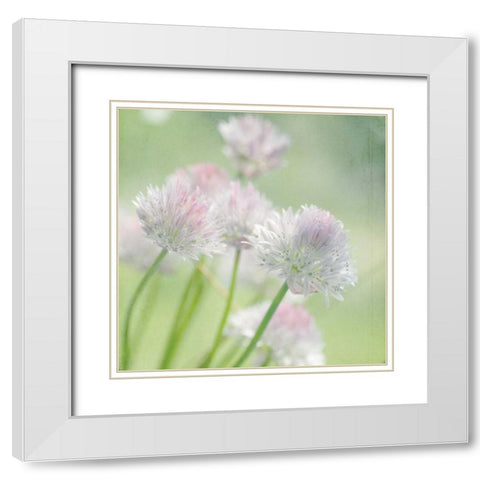 Reach White Modern Wood Framed Art Print with Double Matting by Stalus, Judy