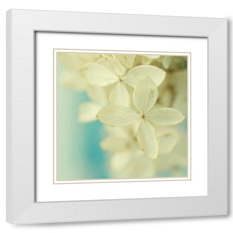 Vanilla White Modern Wood Framed Art Print with Double Matting by Stalus, Judy