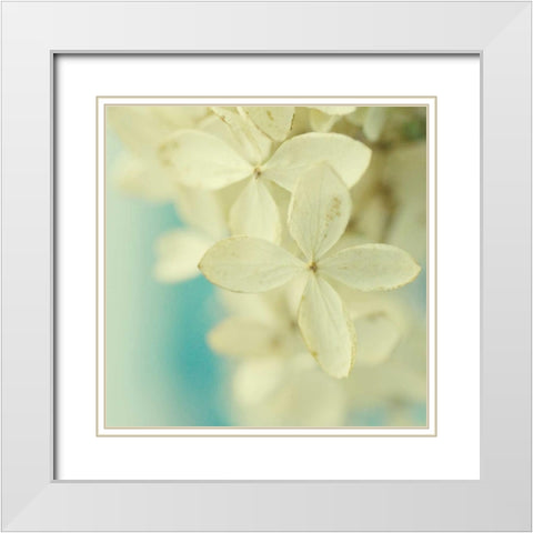 Vanilla White Modern Wood Framed Art Print with Double Matting by Stalus, Judy