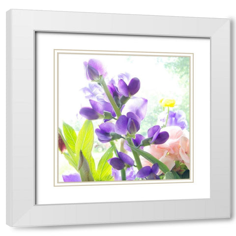 Purple Passion White Modern Wood Framed Art Print with Double Matting by Stalus, Judy