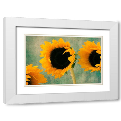 Sunflowers II White Modern Wood Framed Art Print with Double Matting by Stalus, Judy