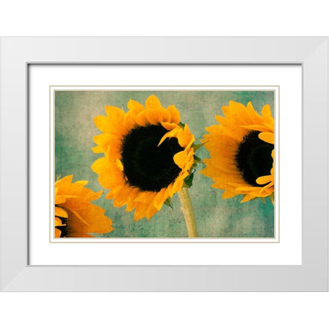 Sunflowers II White Modern Wood Framed Art Print with Double Matting by Stalus, Judy