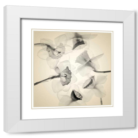 Bloom Collage White Modern Wood Framed Art Print with Double Matting by Stalus, Judy